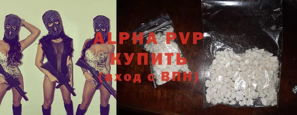 шишки Гусиноозёрск