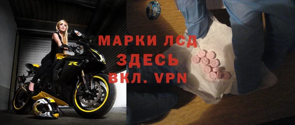 шишки Гусиноозёрск