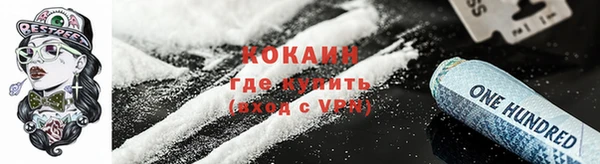 ПСИЛОЦИБИНОВЫЕ ГРИБЫ Гусев