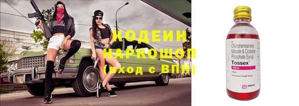 дживик Горняк