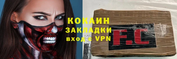шишки Гусиноозёрск