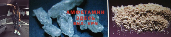 шишки Гусиноозёрск