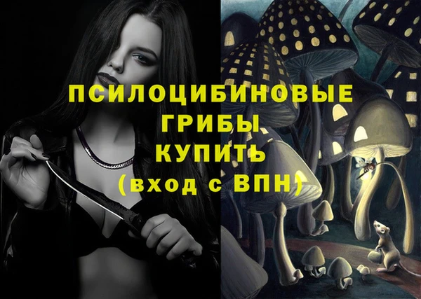 ПСИЛОЦИБИНОВЫЕ ГРИБЫ Гусев