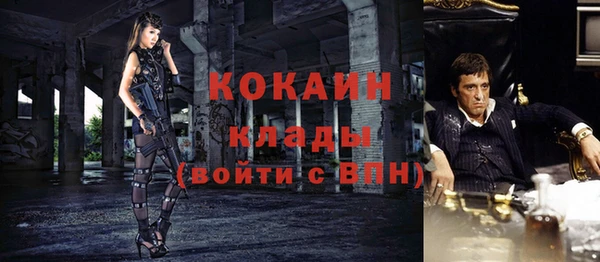 ПСИЛОЦИБИНОВЫЕ ГРИБЫ Горнозаводск