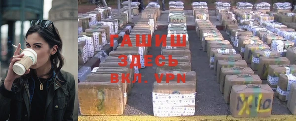 ПСИЛОЦИБИНОВЫЕ ГРИБЫ Гусев
