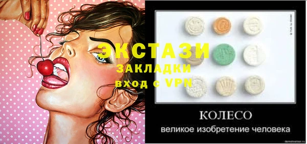 шишки Гусиноозёрск