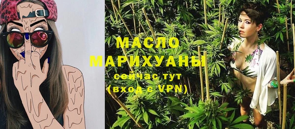 шишки Гусиноозёрск